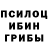 Бошки Шишки планчик Veronika Vidus