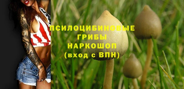 первитин Верхний Тагил